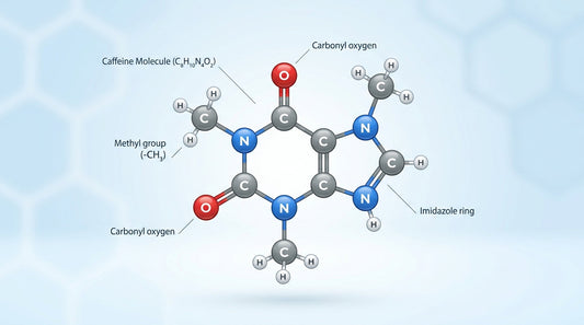 What Does Caffeine Actually Do to Your Body